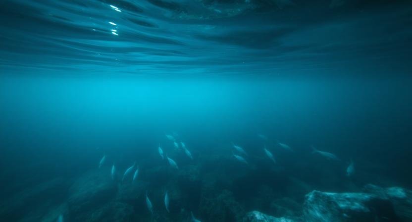 البحر في المنام