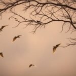 الطيور في المنام